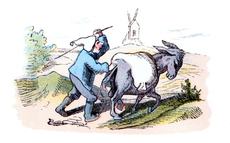 Bauer-Mueller 01.jpg